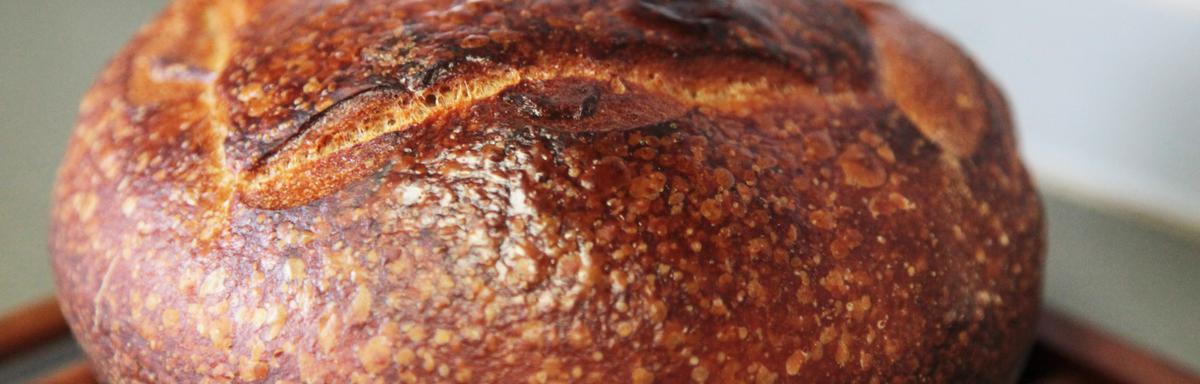 Crusty Bread Loaf-image